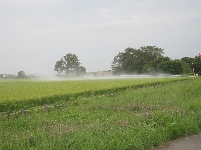 201508-13.JPG