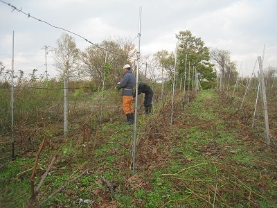 201510-34.JPG