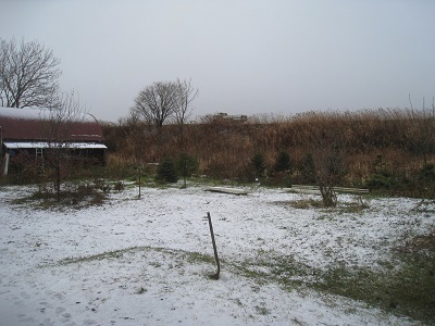 201511-22.JPG