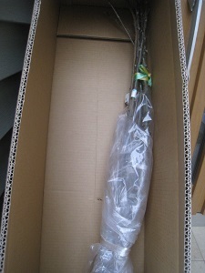 201511-24.JPG