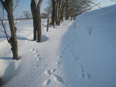 29150127-3.jpg